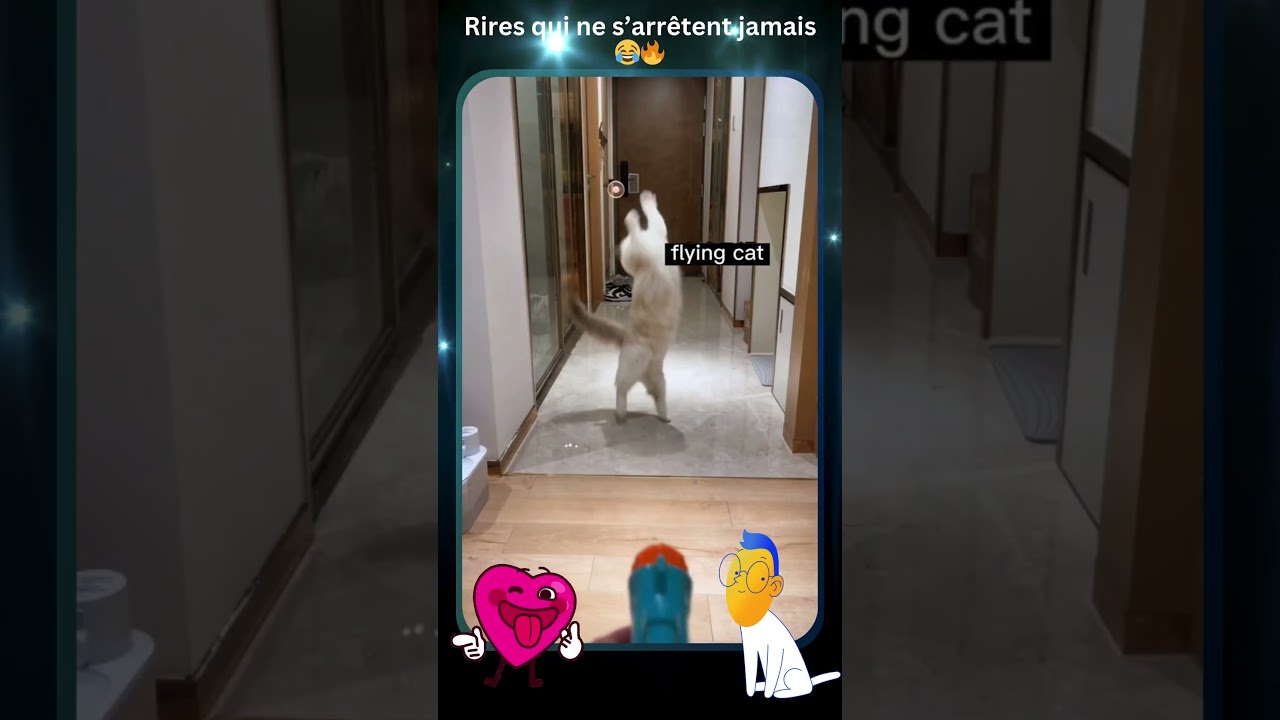 Sc&egrave;nes hilarantes, vid&eacute;os &eacute;piques, rires en continu, blagues folles 😂🔥 #Com&eacute;dieUltime #Rires