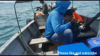 do not see the results,. angler amateur. spot lobam batam island.