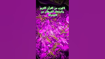 القاري #ماهر_المعيقلي ريح نفسك بتلاوة القرآن الكريم #اكسبلور #المصحف #ياسر_الدوسري #دويتو #يصلك