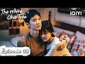 VOSTFR FULL The White Olive Tree EP03 IQIYI France 白色橄榄树 IQIYI Chenzheyuan Liangjie VOSTFR FULL The White Olive Tree EP03 IQIYI France 白色橄榄树 IQIYI Chenzheyuan Liangjie