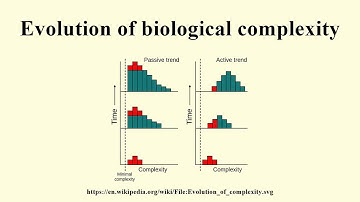 Evolution of biological complexity