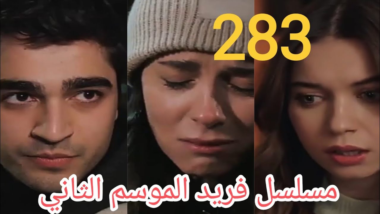 كيفية استخدام واتساب ويب لتعزيز الإنتاجية والتواصل دليلك الشامل 2024