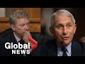 Coronavirus: Fauci spars with Sen. Rand Paul over New York COVID-19 death rate