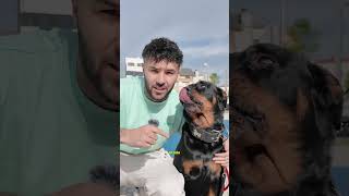 POR ESTO LOS PPP SON “PEL1GR0S0S” #ppp #perros