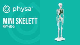 Mini Skelett 85 Cm Physa Phy-Sk-5 Produktpresentation 10040243