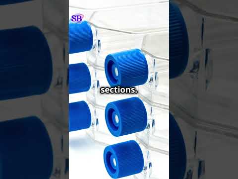 Tissue Embedding in Histology: Techniques & Common Errors