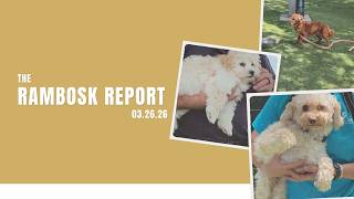50 Dogs Rescued from Puppy Mill!!!