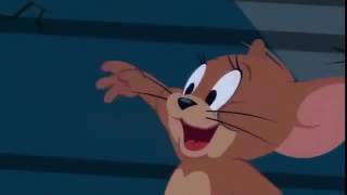 Tom And Jerry 2016 توم وجيري من اجمل حلقات الكرتون مضحكة 2016 كامل ضحك بلا حدود