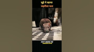 The virus has engulfed the entire city #shorts