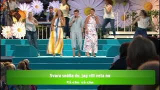 Lotta Engberg - Vem är det du vill ha - Lotta på Liseberg (TV4)