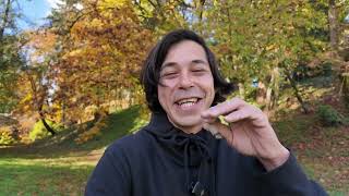 SMOKING A JOINT OF THCA FLOWER FROM CALIFORNIA GOLD FARMS