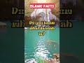 Do you know what Jannah is । Islamic Facts in English 🕋❤️ #islamicstatus #allah