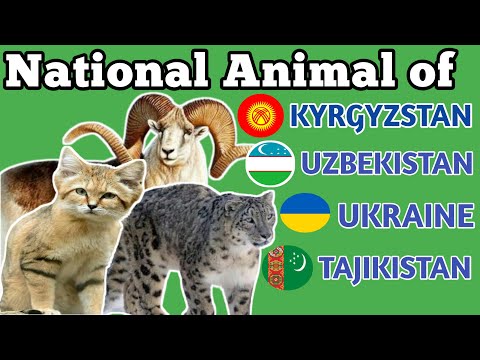 Video: Animals of Ukraine: overview, features and interesting facts