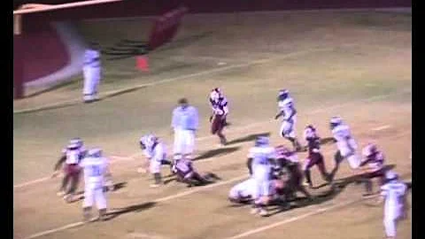 #77 Bing Lin 2010 Season Highlights
