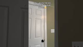 Goofy Kicked Mickey Out Of Florida