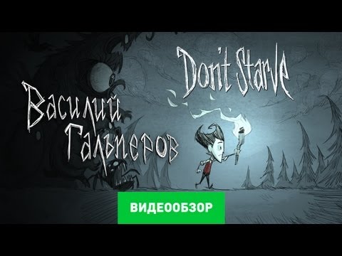 Video: Don't Starve Review