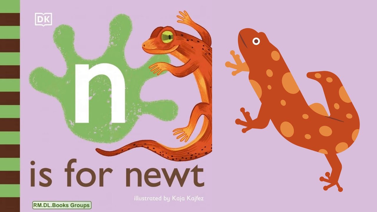 N is for Newt II Alphabet Nn II Letter N sound and vocabulary II Little