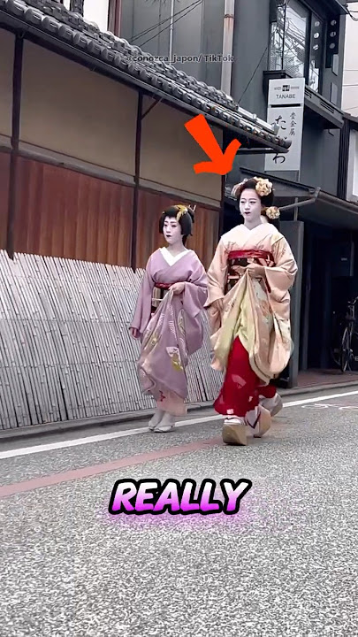 The Truth About Geisha: Most People Get This WRONG! 🎎🇯🇵 #japan #geisha #shorts
