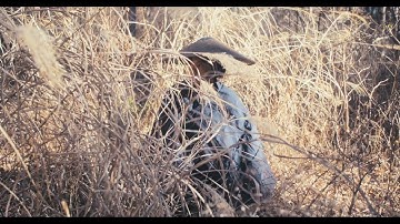 『THE COCKPIT』などの三宅唱監督作！映画『密使と番人』予告編