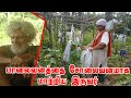 30 வருடங்களாக 2 நபர்கள் மட்டும் உழைத்து உருவாக்கிய காடு | Pebble Garden | Deepika kundaji