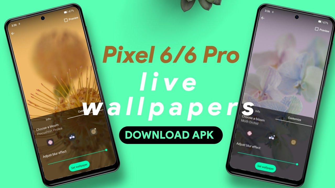 Download Google Pixel 6 and 6 Pro Stock Wallpapers