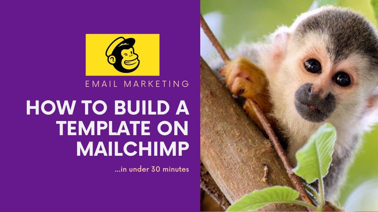 how-to-build-a-template-mailchimp-youtube