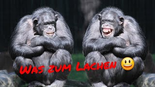 Witzesammlung zum Lachen
