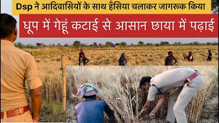 आदिवासी ने डीएसपी से कहा गेहूं काटो तब पता चलेगा कितनी मेहनत है। dsp crop cutting with tribal lady