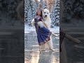 A beautiful girl dance a walf