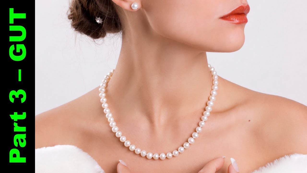 Breakthrough Physics: The Grand Unification of Physics 15