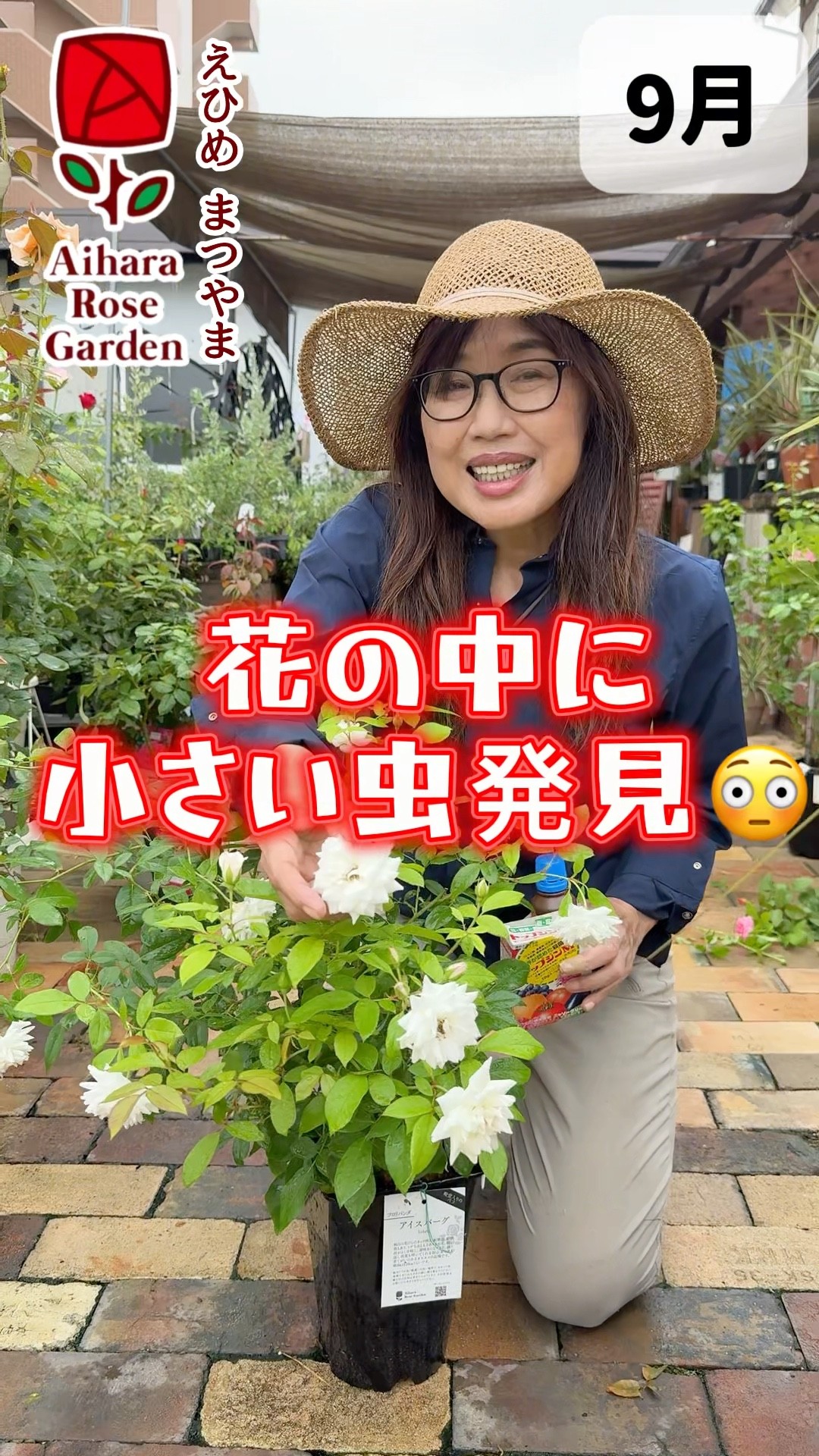 Found a tiny bug in the flower #AiharaRoseGarden - YouTube