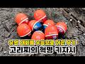 【신제품】이제 고리찌는 키자시로 통한다!