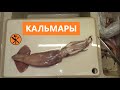 КАЛЬМАРЫ как чистить и вкусно готовить