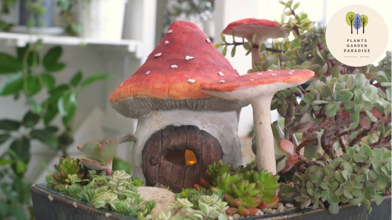 Mushroom house Succulent garden [DIY Miniature] - YouTube