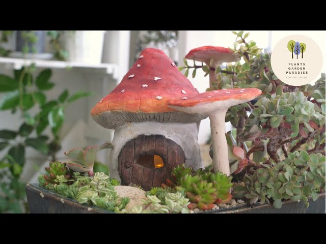 Mushroom house Succulent garden [DIY Miniature] - YouTube