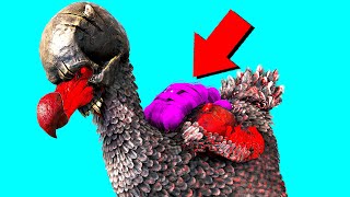 Ive NEVER Seen A Dodo Like This Primal Fear (Ark Survival Evolved)