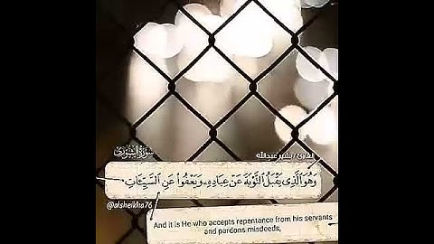 القارئ بشير عبدالله