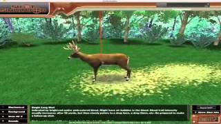 The Deer Hunting Shot Simulator - Deer & Deer Hunting App screenshot 2