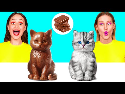 الغذاء الحقيقي مقابل الغذاء الشوكولاته التحدي حرب المطبخ المضحكة KaZaZa Challenge