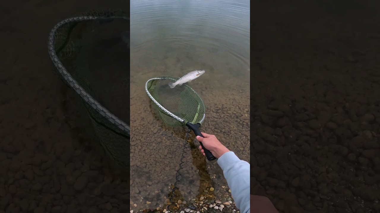 AND THEN THIS HAPPENED! #fishing