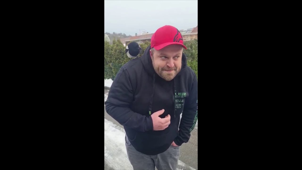 Die Stuttgarter Elster :D Zahmer Vogel (Guy get attacked by bird, Tame Bird xD)