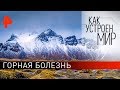 Горная болезнь. "Как устроен мир" с Тимофеем Баженовым (27.01.20).