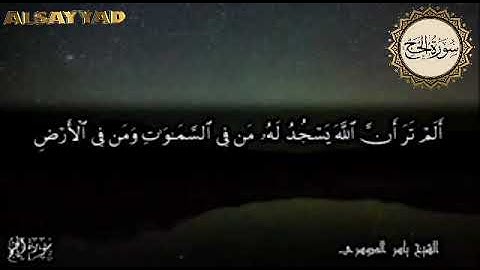 سورة الحج ﷽ أَلَمْ تَرَ أَنَّ اللَّهَ يَسْجُدُ لَهُ مَن فِي السَّمَاوَاتِ وَمَن فِي الْأَرْضِ وَالشّ
