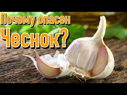 Вред чеснока | Почему нельзя употреблять чеснок?