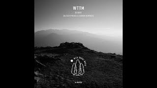 VS Premiere: WTTM - Desert 02 (Alessio Mereu Repression Rework )[Wild Drone Music]