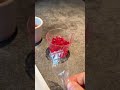 😍🍇京都スイーツ衝撃‼️土井のシソゼリーが甘酸っぱくてクセになる😋✨口いっぱいに広がる爽やか感🔥