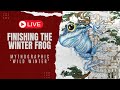 Live wip  chat  finishing the winter frog in mythographic wild winter with polychromos