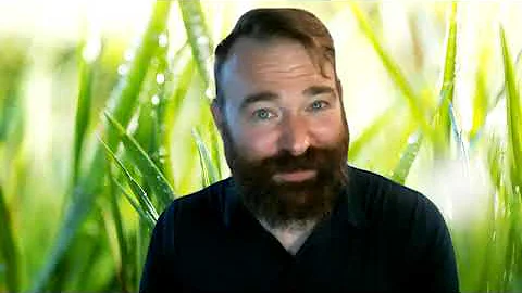 American Literature Week 6 Video check in