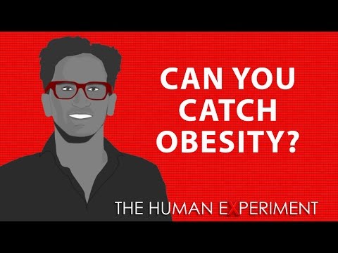 Can You Catch Obesity?