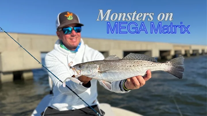 DockSide TV 'Monsters on the MEGA Matrix